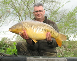 25lb lin